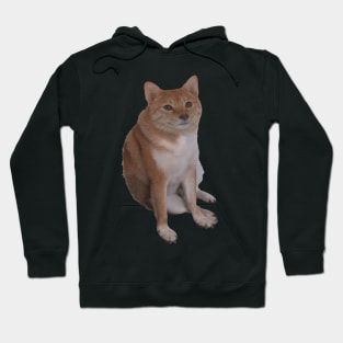 Cheems Cat Hoodie